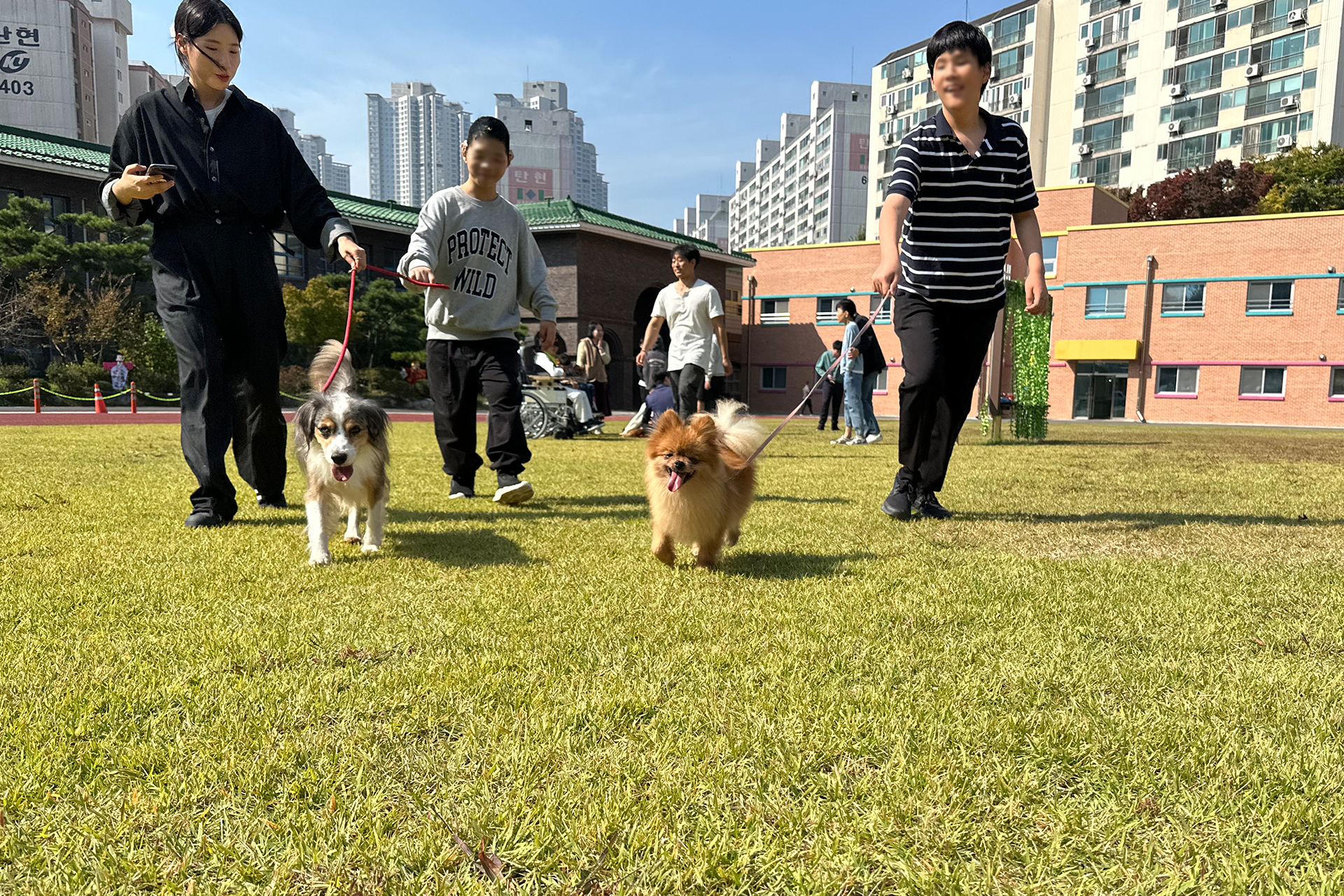 교감체험